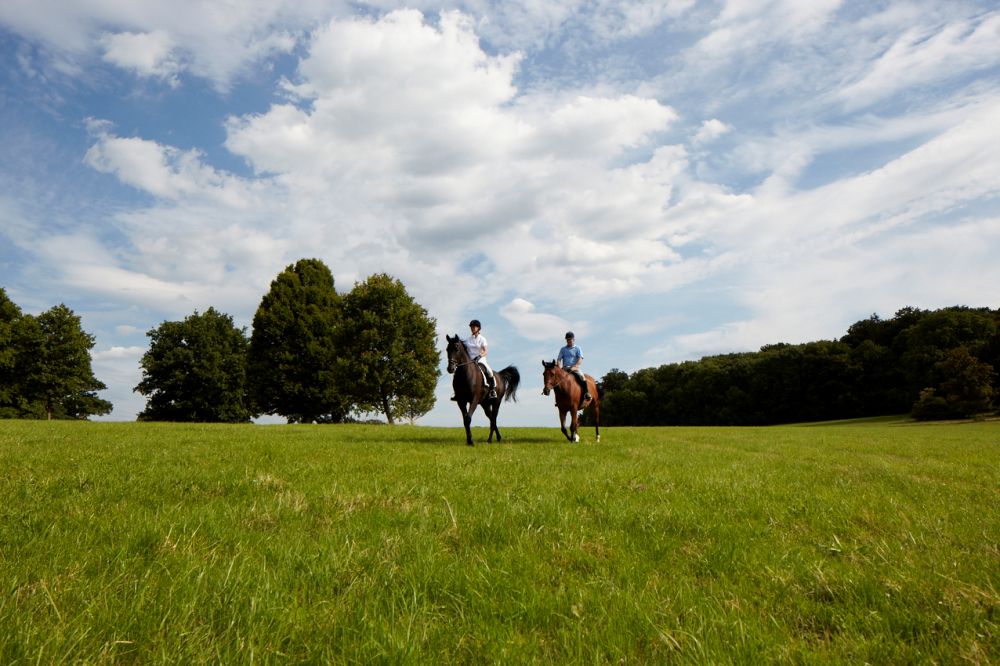 Riding in Windsor Great Park